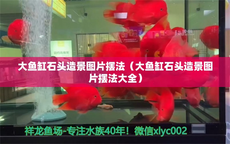 大魚缸石頭造景圖片擺法（大魚缸石頭造景圖片擺法大全） 祥龍魚場