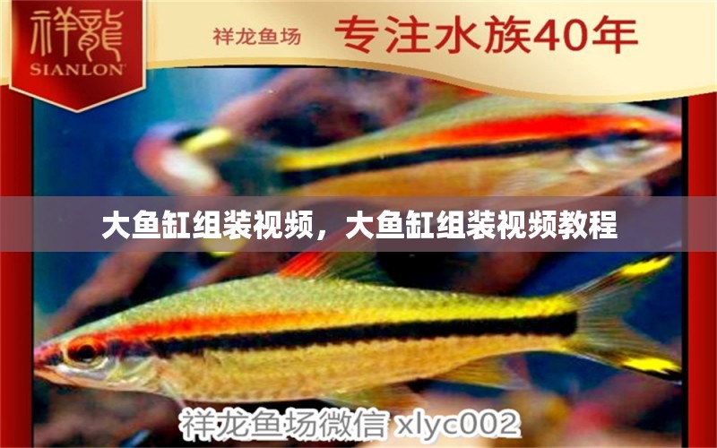 大魚缸組裝視頻，大魚缸組裝視頻教程