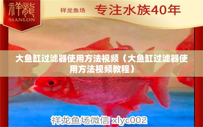 大魚缸過濾器使用方法視頻（大魚缸過濾器使用方法視頻教程）