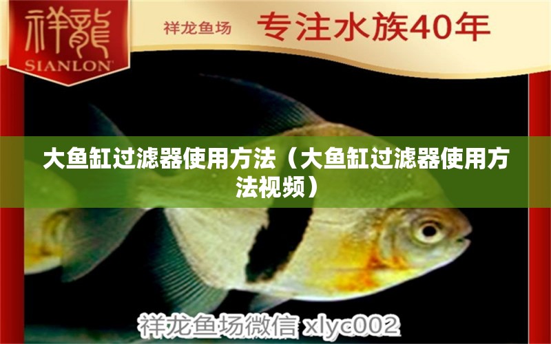 大魚缸過濾器使用方法（大魚缸過濾器使用方法視頻）