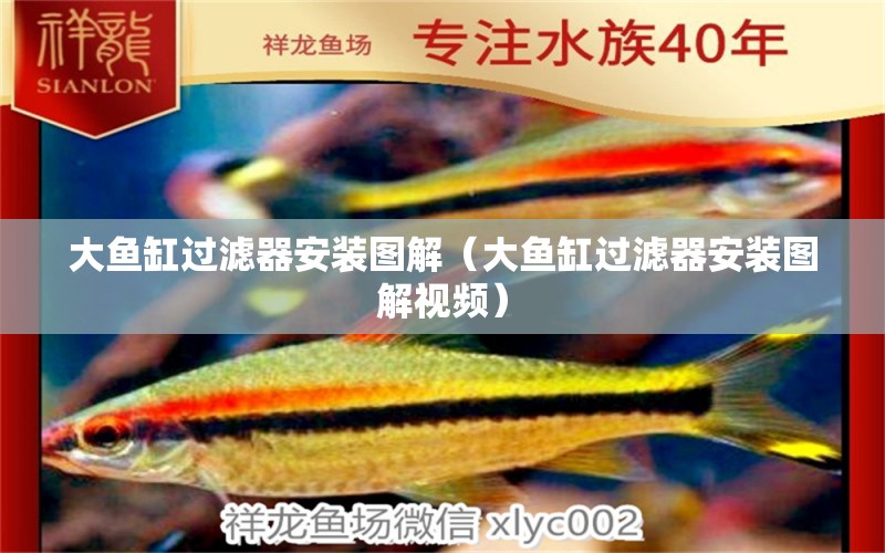 大魚缸過濾器安裝圖解（大魚缸過濾器安裝圖解視頻）