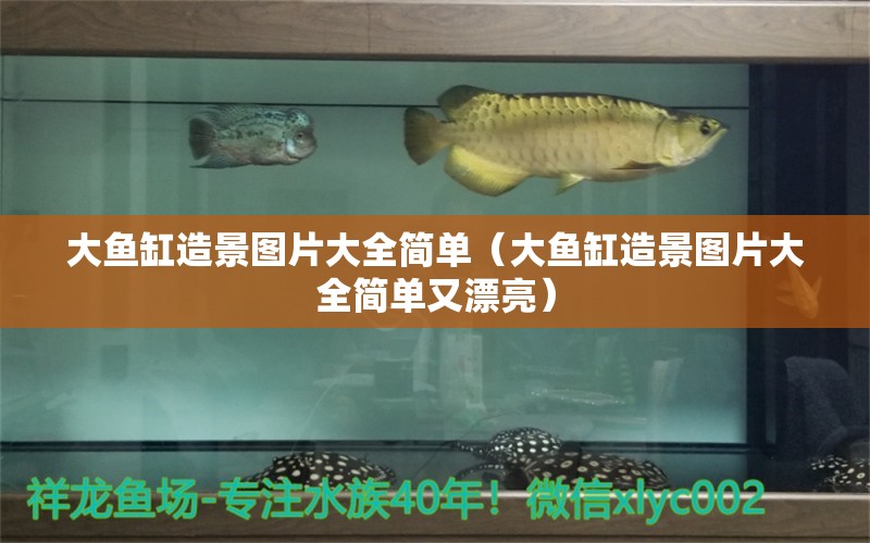 大魚缸造景圖片大全簡(jiǎn)單（大魚缸造景圖片大全簡(jiǎn)單又漂亮） 魚缸百科