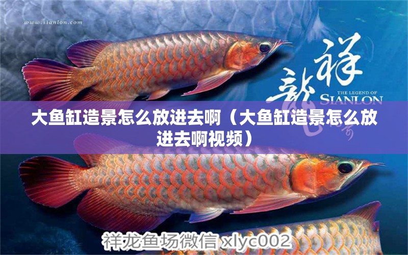 大魚缸造景怎么放進(jìn)去啊（大魚缸造景怎么放進(jìn)去啊視頻）