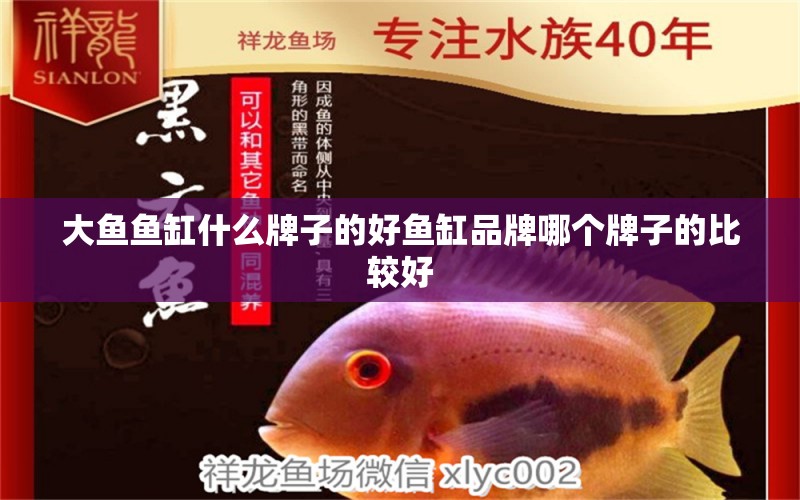 大魚魚缸什么牌子的好魚缸品牌哪個(gè)牌子的比較好 水族雜談