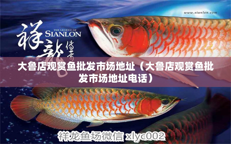 大魯?shù)暧^賞魚批發(fā)市場(chǎng)地址（大魯?shù)暧^賞魚批發(fā)市場(chǎng)地址電話）