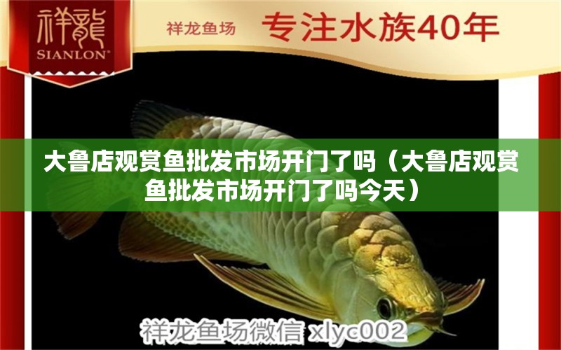 大魯?shù)暧^賞魚批發(fā)市場(chǎng)開門了嗎（大魯?shù)暧^賞魚批發(fā)市場(chǎng)開門了嗎今天）