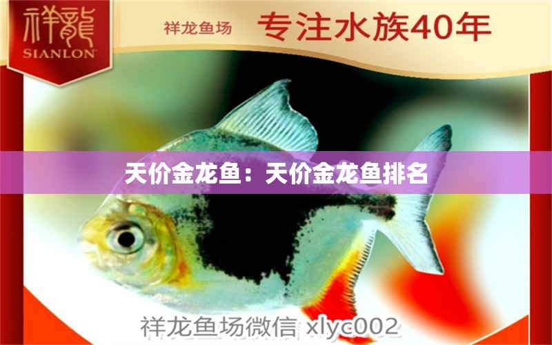 天價(jià)金龍魚(yú)：天價(jià)金龍魚(yú)排名 申古銀版魚(yú)