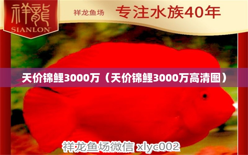 天價(jià)錦鯉3000萬(wàn)（天價(jià)錦鯉3000萬(wàn)高清圖）