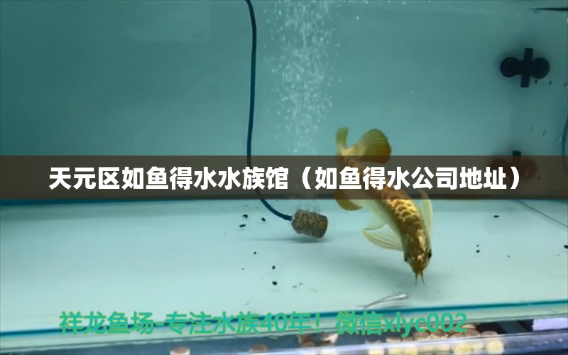 天元區(qū)如魚得水水族館（如魚得水公司地址） 全國水族館企業(yè)名錄