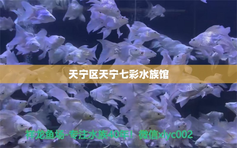 天寧區(qū)天寧七彩水族館 全國水族館企業(yè)名錄