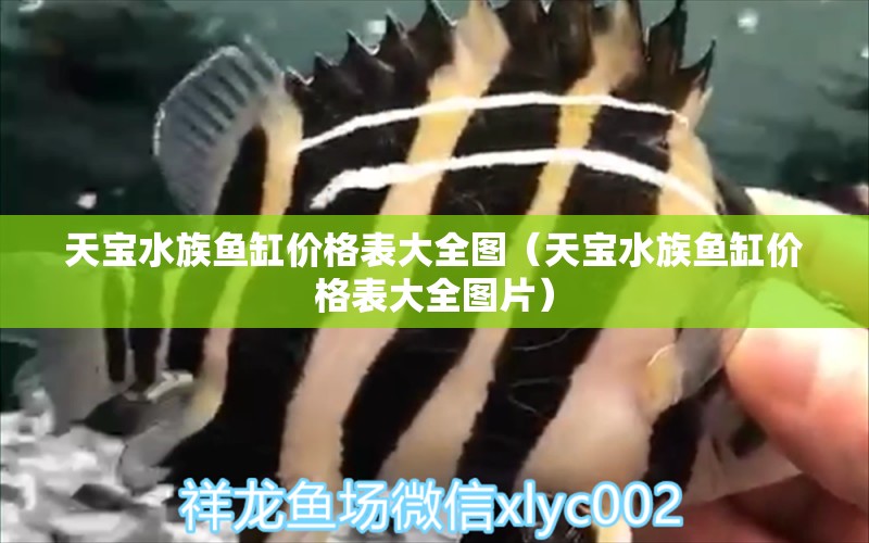 天寶水族魚(yú)缸價(jià)格表大全圖（天寶水族魚(yú)缸價(jià)格表大全圖片）