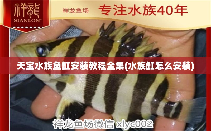 天寶水族魚缸安裝教程全集(水族缸怎么安裝) 觀賞魚市場(chǎng)（混養(yǎng)魚）