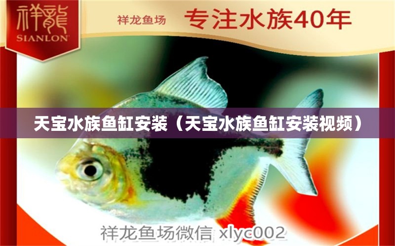 天寶水族魚(yú)缸安裝（天寶水族魚(yú)缸安裝視頻）