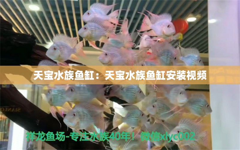 天寶水族魚(yú)缸：天寶水族魚(yú)缸安裝視頻