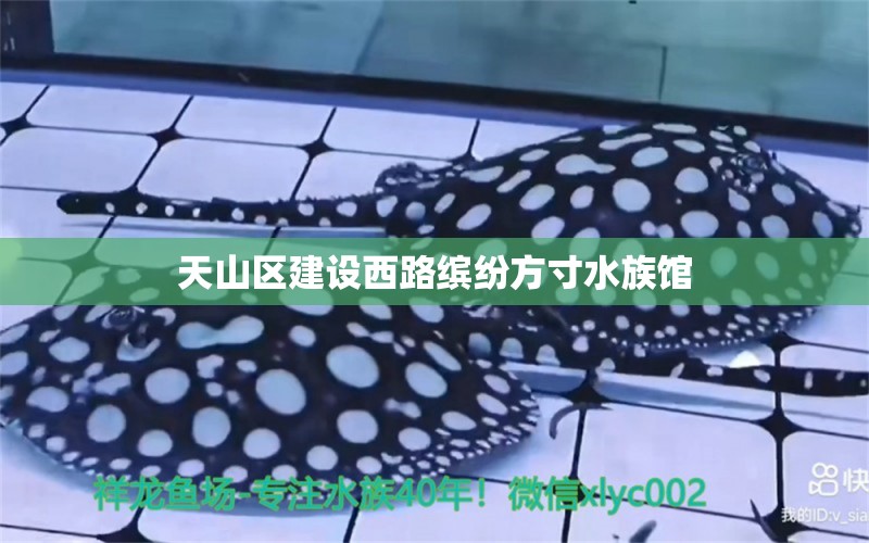 天山區(qū)建設(shè)西路繽紛方寸水族館 全國水族館企業(yè)名錄