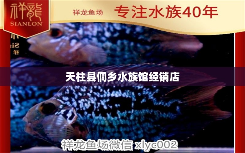 天柱縣侗鄉(xiāng)水族館經(jīng)銷店