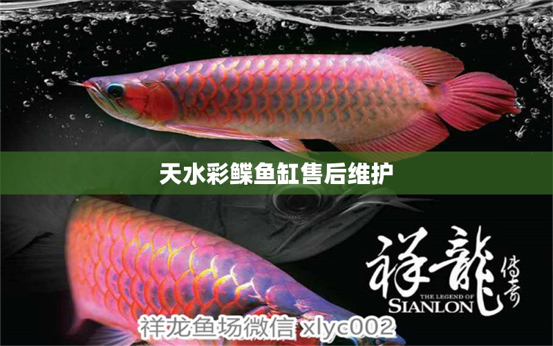 天水彩鰈魚缸售后維護(hù) 彩鰈魚缸（彩蝶魚缸）