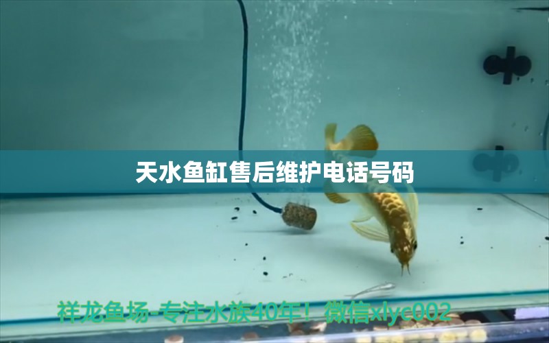 天水魚缸售后維護(hù)電話號碼 其他品牌魚缸