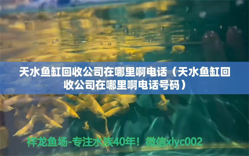 天水魚缸回收公司在哪里啊電話（天水魚缸回收公司在哪里啊電話號碼）