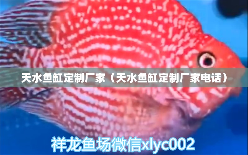 天水魚缸定制廠家（天水魚缸定制廠家電話）