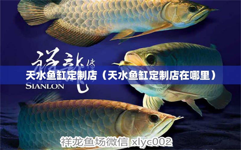 天水魚缸定制店（天水魚缸定制店在哪里）