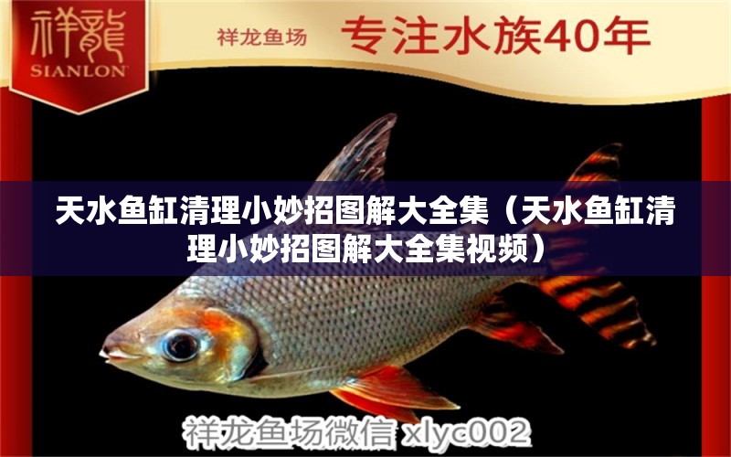 天水魚缸清理小妙招圖解大全集（天水魚缸清理小妙招圖解大全集視頻） 觀賞魚市場（混養(yǎng)魚）