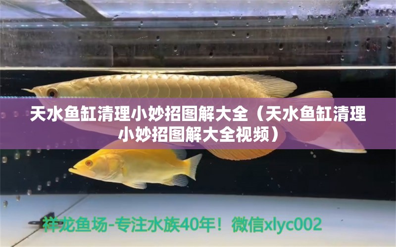 天水魚缸清理小妙招圖解大全（天水魚缸清理小妙招圖解大全視頻）