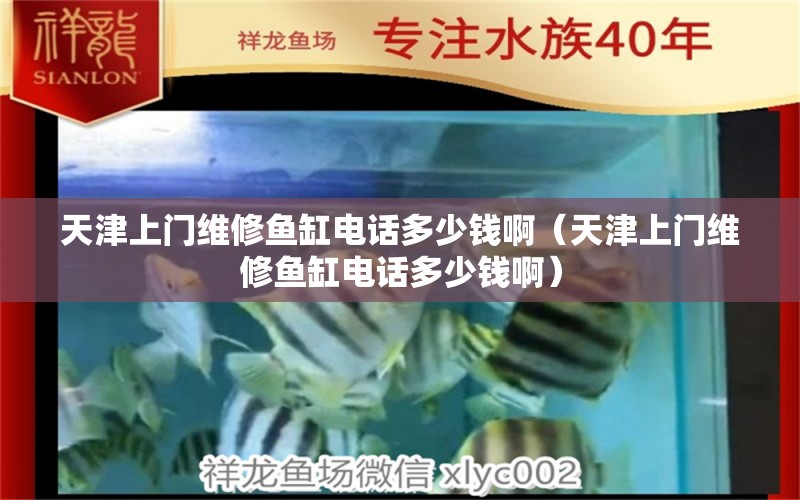 天津上門維修魚缸電話多少錢?。ㄌ旖蛏祥T維修魚缸電話多少錢啊） 祥龍水族醫(yī)院