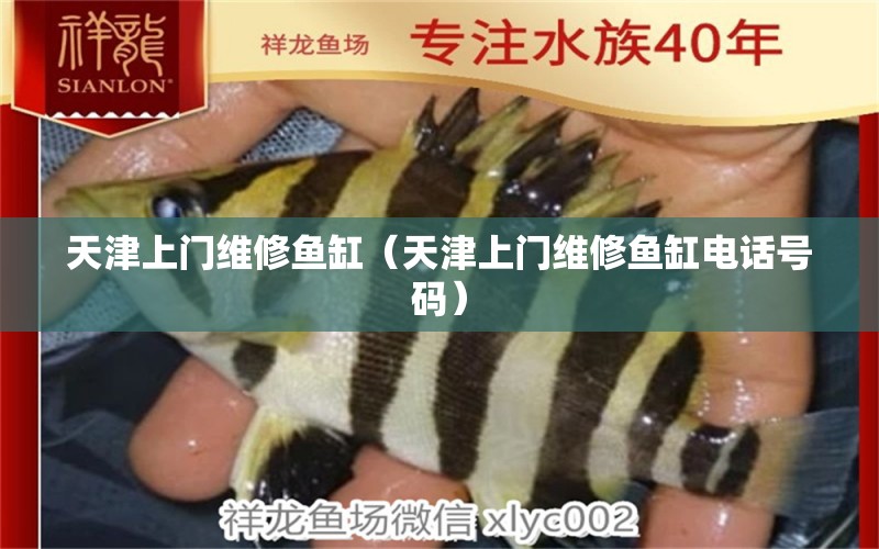 天津上門維修魚缸（天津上門維修魚缸電話號碼）