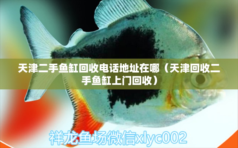 天津二手魚缸回收電話地址在哪（天津回收二手魚缸上門回收）