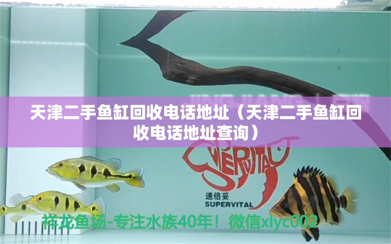 天津二手魚(yú)缸回收電話地址（天津二手魚(yú)缸回收電話地址查詢） 月光鴨嘴魚(yú)