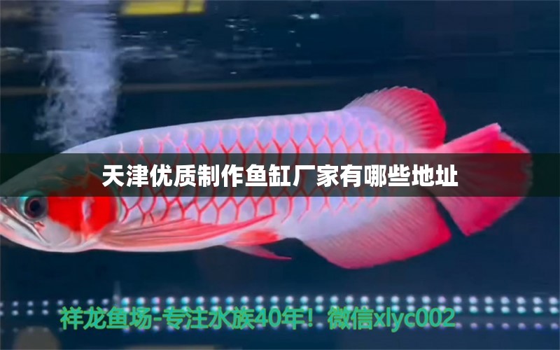 天津優(yōu)質(zhì)制作魚缸廠家有哪些地址 水族問答 第2張