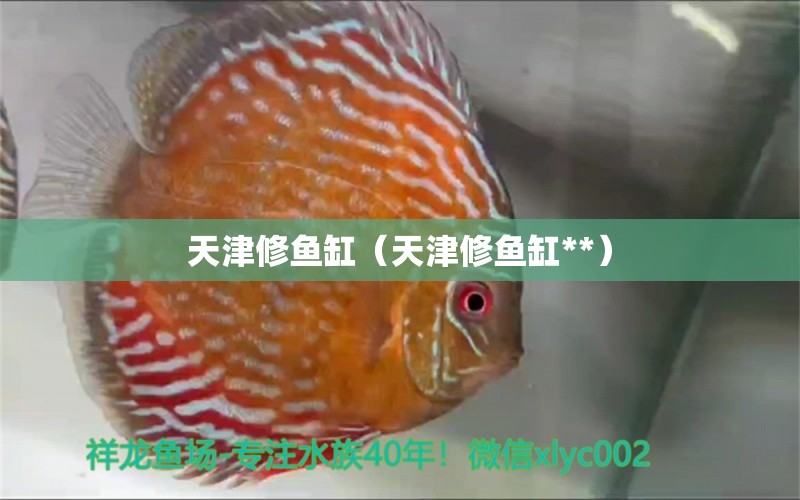 天津修魚缸（天津修魚缸**）