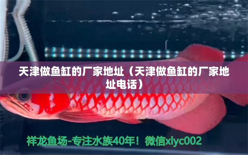 天津做魚(yú)缸的廠家地址（天津做魚(yú)缸的廠家地址電話）