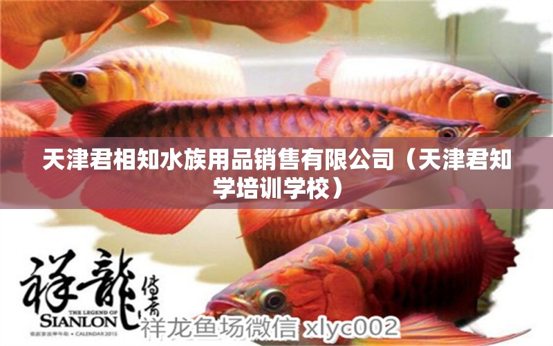 天津君相知水族用品銷售有限公司（天津君知學(xué)培訓(xùn)學(xué)校） 水族用品