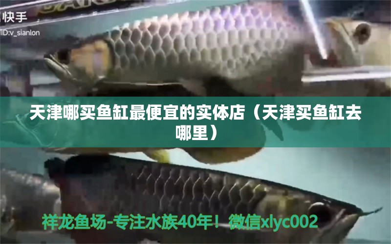 天津哪買魚缸最便宜的實(shí)體店（天津買魚缸去哪里） 廣州觀賞魚批發(fā)市場