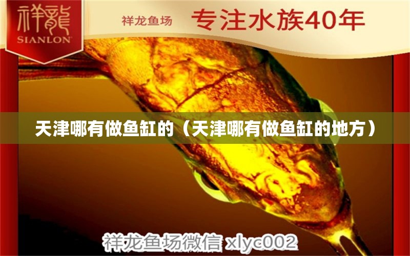 天津哪有做魚缸的（天津哪有做魚缸的地方） 其他品牌魚缸