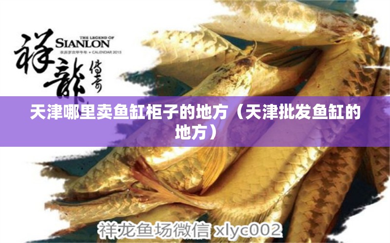 天津哪里賣魚缸柜子的地方（天津批發(fā)魚缸的地方）