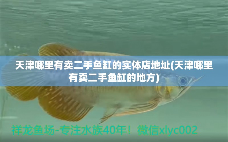 天津哪里有賣二手魚缸的實體店地址(天津哪里有賣二手魚缸的地方) 鐵甲武士