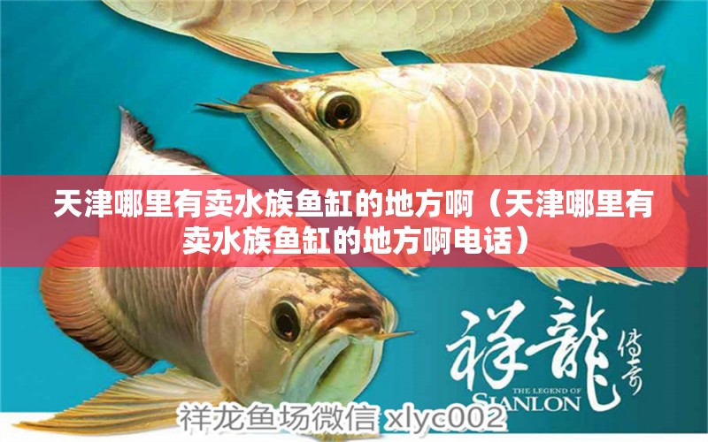 天津哪里有賣水族魚缸的地方?。ㄌ旖蚰睦镉匈u水族魚缸的地方啊電話）