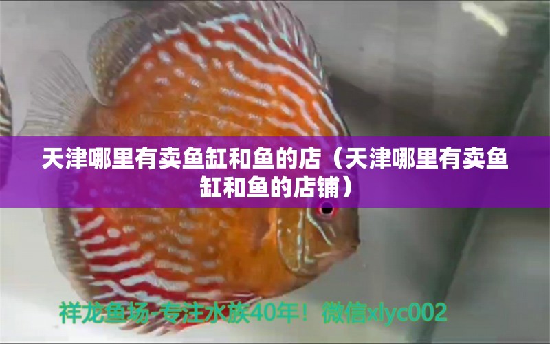 天津哪里有賣魚缸和魚的店（天津哪里有賣魚缸和魚的店鋪） 元寶鳳凰魚專用魚糧