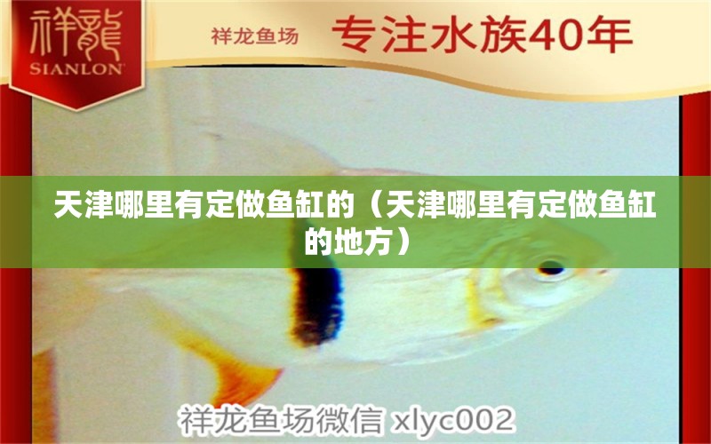 天津哪里有定做魚(yú)缸的（天津哪里有定做魚(yú)缸的地方）