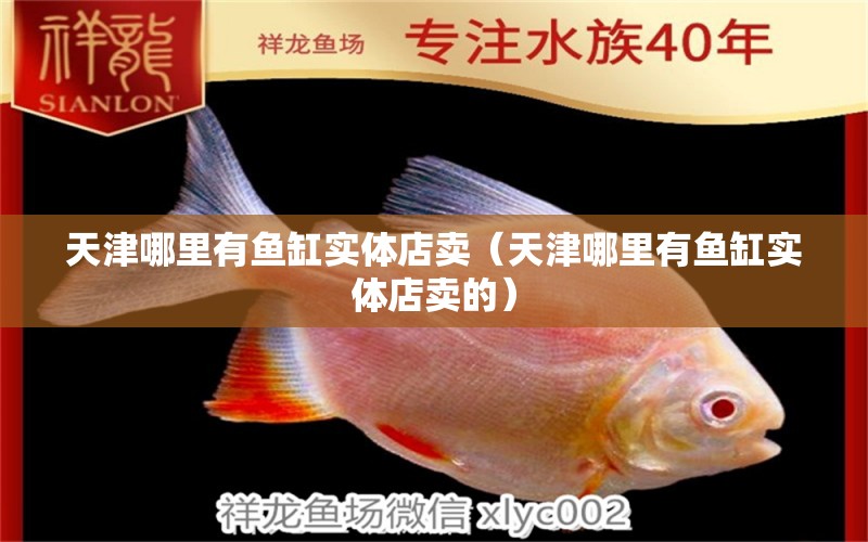 天津哪里有魚缸實(shí)體店賣（天津哪里有魚缸實(shí)體店賣的） 其他品牌魚缸