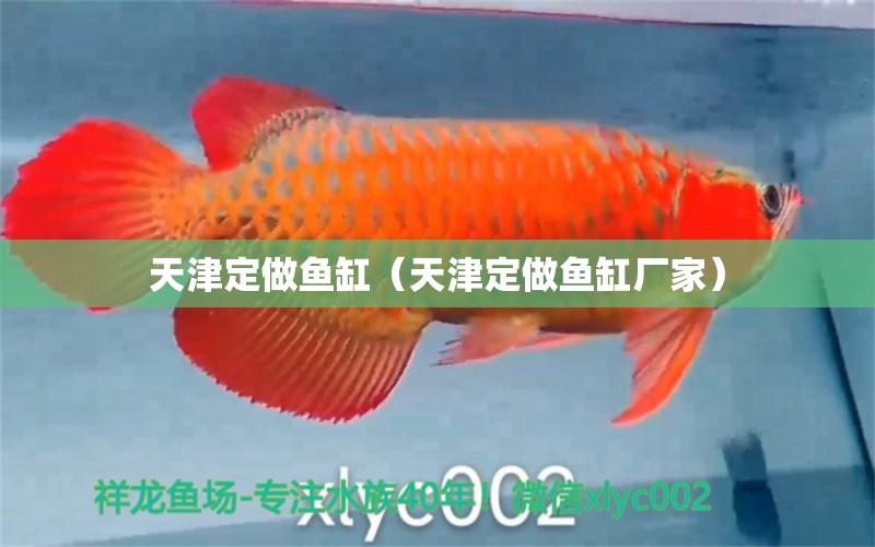 天津定做魚缸（天津定做魚缸廠家）