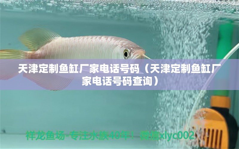 天津定制魚缸廠家電話號碼（天津定制魚缸廠家電話號碼查詢） 其他品牌魚缸