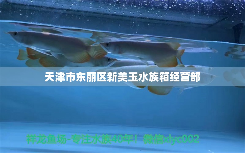 天津市東麗區(qū)新美玉水族箱經(jīng)營(yíng)部