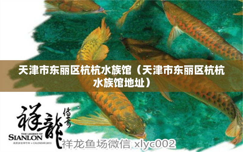 天津市東麗區(qū)杭杭水族館（天津市東麗區(qū)杭杭水族館地址）