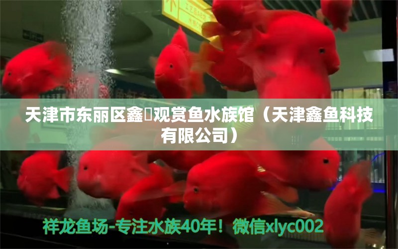 天津市東麗區(qū)鑫鱻觀賞魚(yú)水族館（天津鑫魚(yú)科技有限公司）