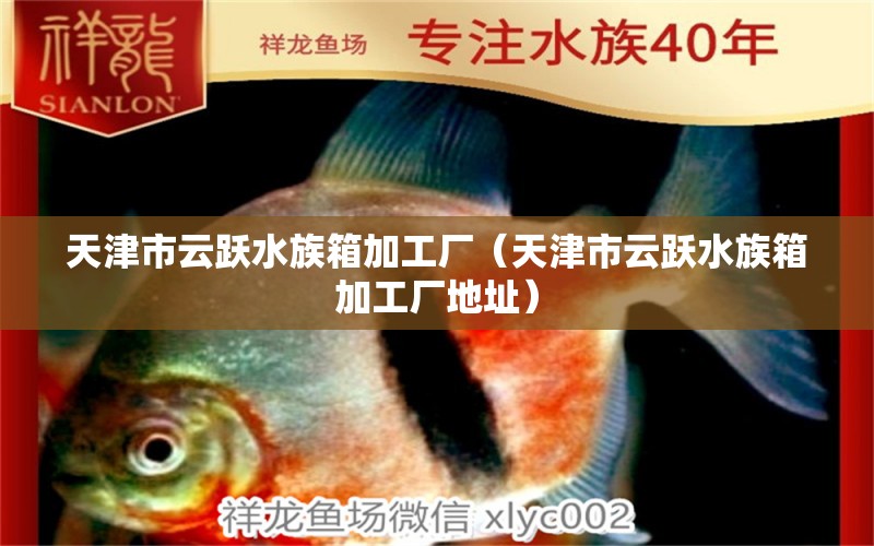 天津市云躍水族箱加工廠（天津市云躍水族箱加工廠地址） 魚缸/水族箱