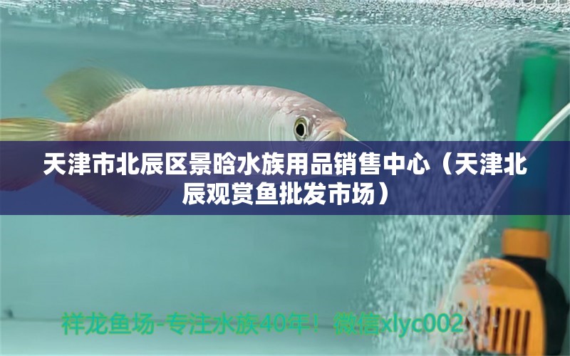 天津市北辰區(qū)景晗水族用品銷售中心（天津北辰觀賞魚批發(fā)市場） 觀賞魚批發(fā)